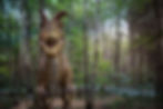 WoodooliParc