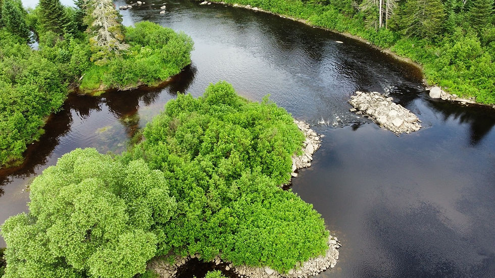 Nomade paysage est un architecte paysager en Chaudière-Appalaches. Créant des projets d’aménagement paysager écologique, alliant design urbain et valorisation écologique. Nomade paysage est spécialisé en conception de jardins privés, paysagement résidentiel, commercial et récréo-touristique. De l’architecture de paysage aux développements urbains, ruraux ou périurbains, Nomade paysage crée des paysages écologiques et supporte la résilience environnementale. Architecte paysager en Chaudière-Appalaches. Architecture de paysage en Chaudière-Appalaches. Aménagement paysager écologique en Chaudière-Appalaches. Conception de jardins privés en Chaudière-Appalaches. Aménagement paysager résidentiel en Chaudière-Appalaches.Projets récréo touristiques en Chaudière-Appalaches.Développement urbain en Chaudière-Appalaches.Design de parc en Chaudière-Appalaches.Design urbain à Saint-Cyprien, Etchemins.Paysagement à Saint-Cyprien, Etchemins. Aménagement paysager à Saint-Cyprien, Etchemins. 