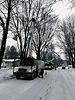Équipe d’Arbeau-Fleuri réalisant l’élagage d’arbres de rue avec des camions-grue.
