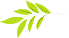 logo feuille 1.png