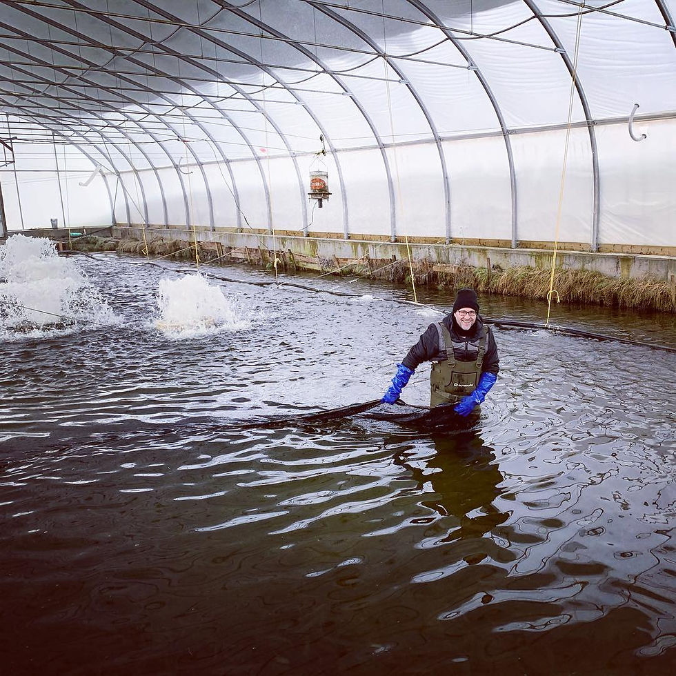 Homme travaillant dans un bassin d’élevage pour la production aquacole et l’ensemencement d’omble de fontaine à Montmagny.