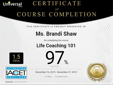 Life Coach