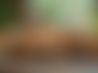 Explore Mushroom Supplements and Growing Supplies Today