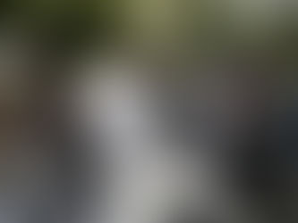 Details emerging following the mysterious assassination of Haiti president Jovenel Mossie