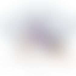 10 Basic Yoga Poses Every Beginner Must Know 