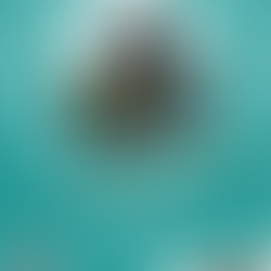 NZN at COP26 - Forget 2050 - Event Invite & Line-up