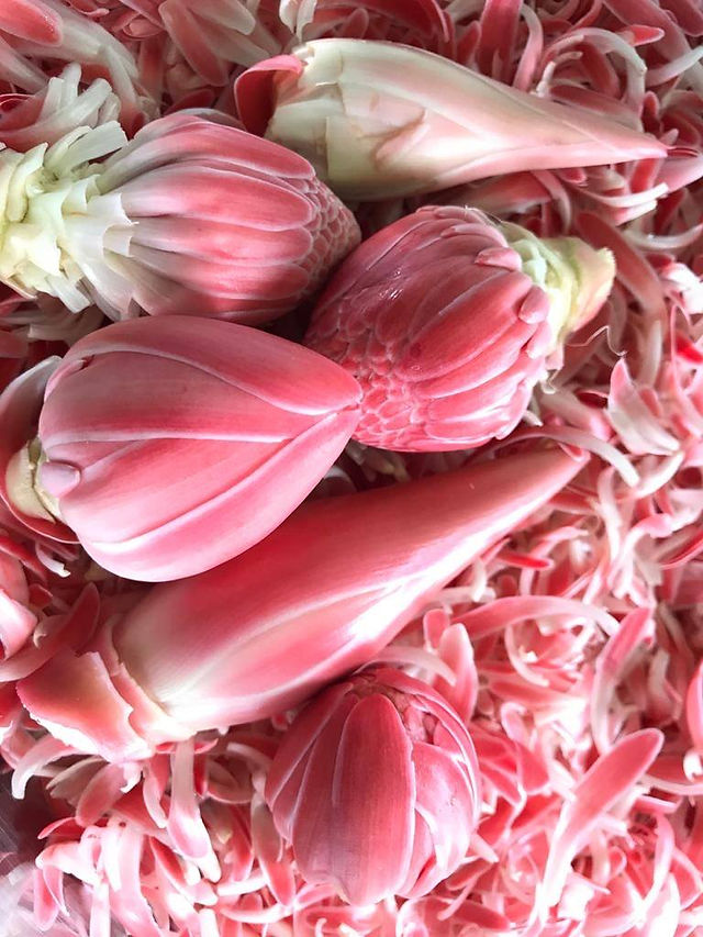 Torch Ginger bud | My Blue Tea