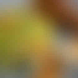 Nyonya Spicy Torch Ginger Flower Sauce | My Blue Tea