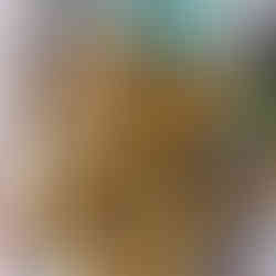 Bunga Kantan Torch ginger is the best | My Blue Tea