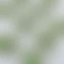 Kueh Bangkok for Chinese New Year | My Blue Tea