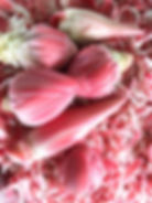 Bunga Kantan | Torch Ginger | Sarawak