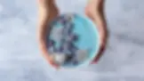 Blue spirulina | My Blue Tea