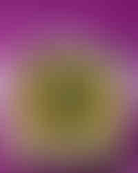 Achar | Pickles | Cucumbers | My Blue Tea