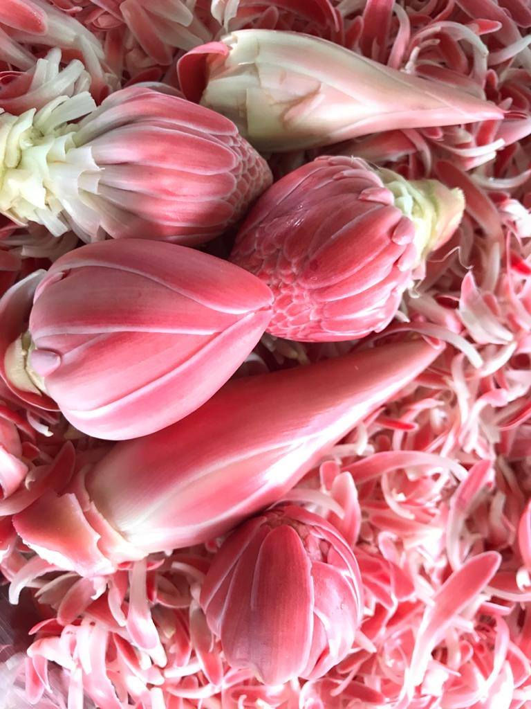Torch Ginger | My Blue Tea
