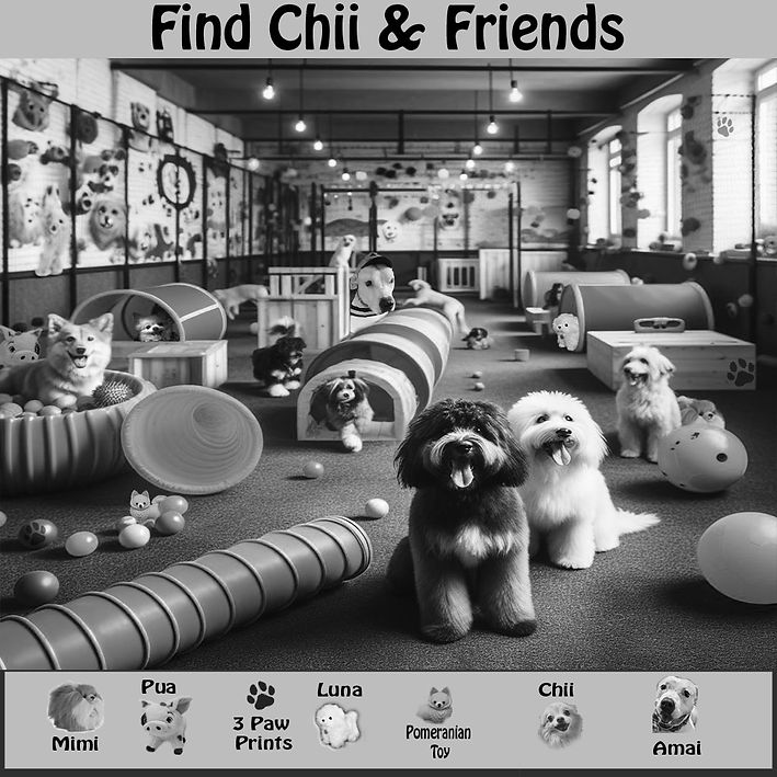 Find Chii and Friends Questions Jan 5th.jpg
