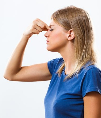 אינדיגו (2).jpg