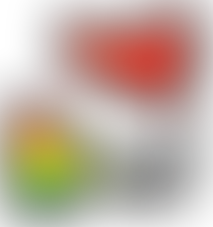 LATINCHINA BOLIVIA INICIA OPERACIONES