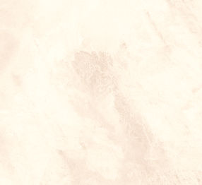 White Background_edited.jpg