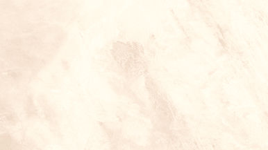 White Background_edited.jpg
