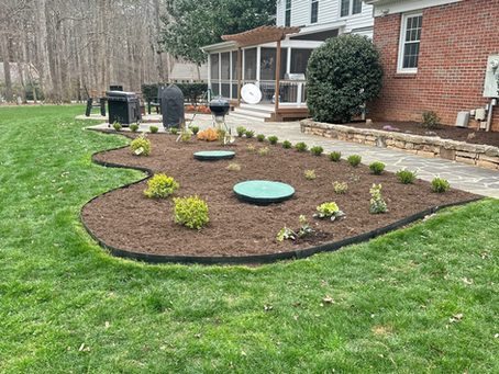 Why Regular Hedging and Trimming Matter for Your Durham, NC Lawn