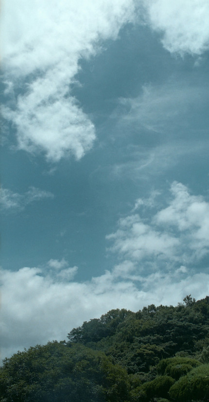 img20250731_00012316.jpg
