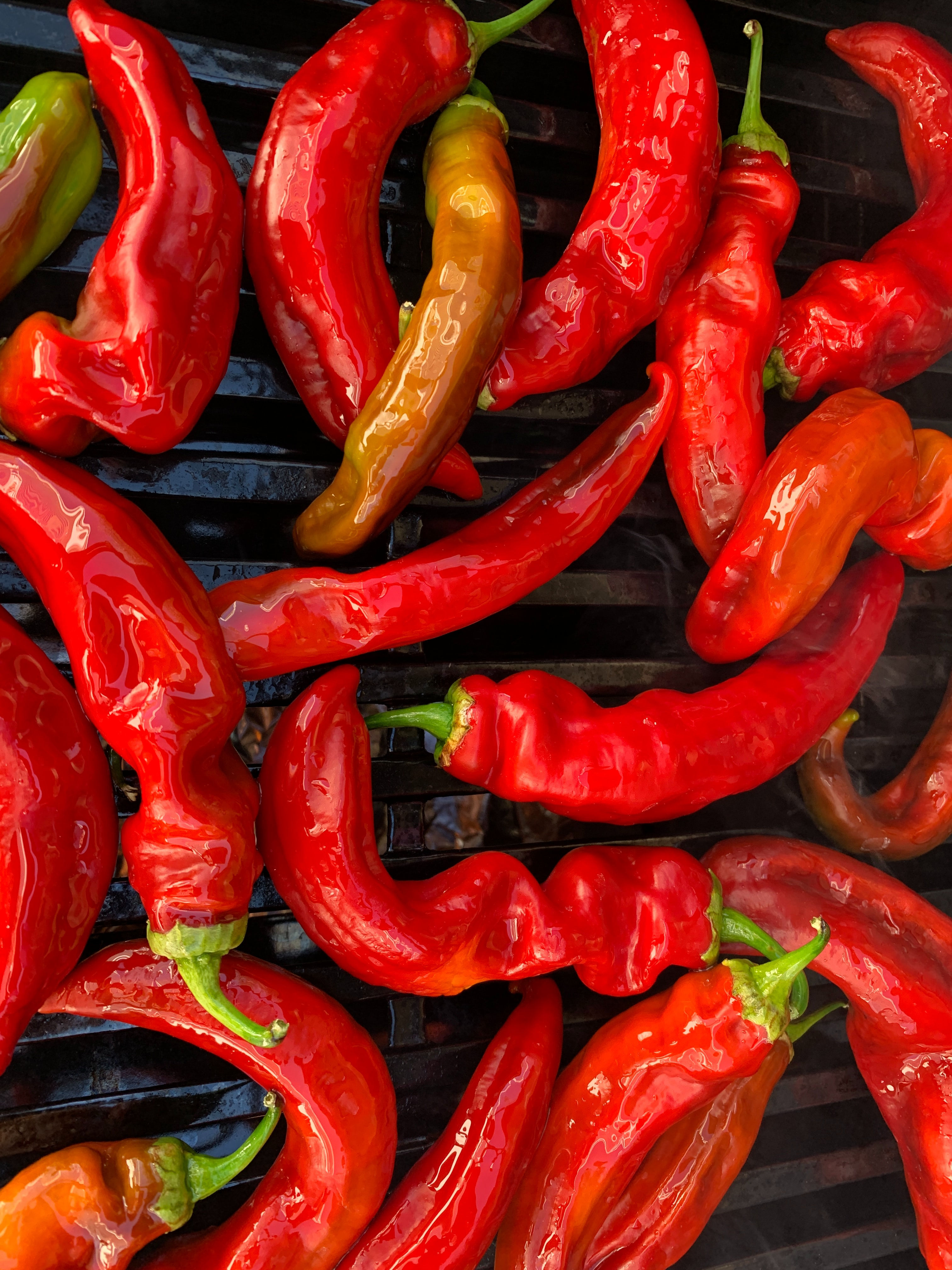 Red Chili - Cabai Merah