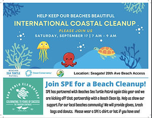 beach cleanup.jpg