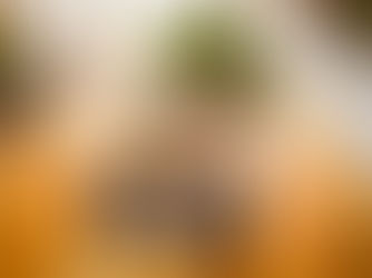 Wann und wie lange solltest du einen Hochzeitsfotografen buchen?