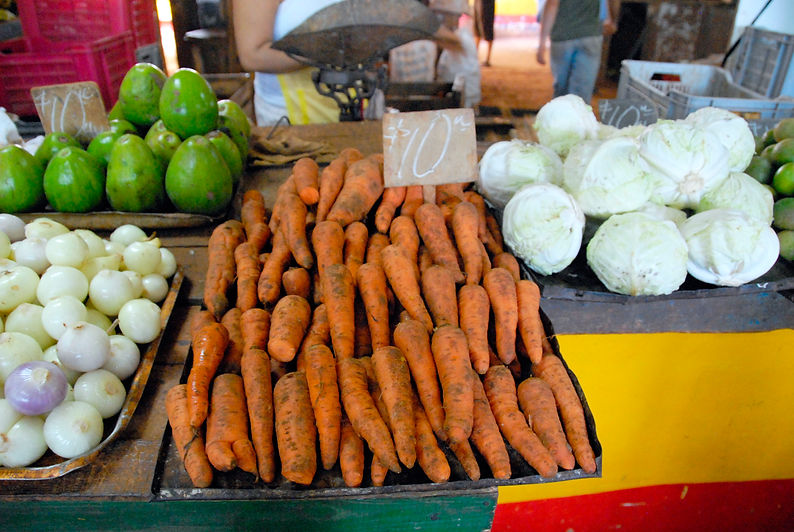 Havana Market.jpg