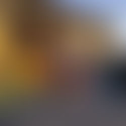 35 empresarias centroamericanas culminaron exitosamente 
la edición del Programa Leads Academy 