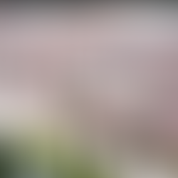 El BCIE emite histórico Bono Global Sostenible benchmark por US$1,500 millones