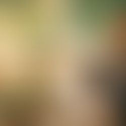 Acer lleva a sus líneas Vero y Predator al siguiente nivel en su next@acer 