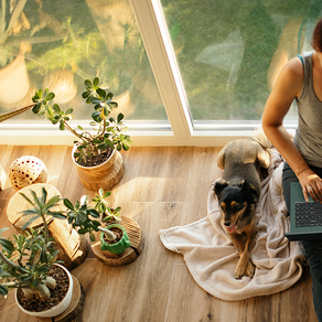 Acer lleva a sus líneas Vero y Predator al siguiente nivel en su next@acer 