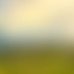 Henkel se ubica en el top 5 del índice de Corporate Knights de las 100 empresas más sustentables