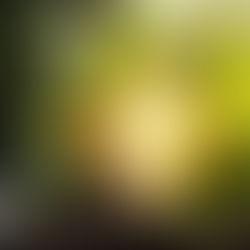 Grupo Magdalena aporta más del 10% de energía en el país