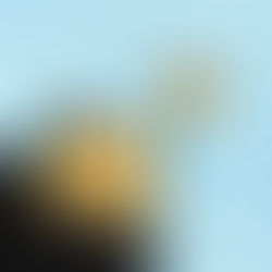 Criptomonedas en alza: cómo mantener una billetera a salvo de amenazas