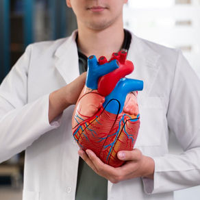 Acabada la pandemia, el reto está en las enfermedades cardiovasculares: más de 2.000 personas mueren