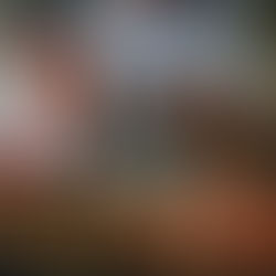 Galletas de temporada para preparar en familia