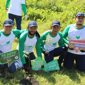 Corporación AG siembra 400 árboles junto al INAB y la Municipalidad de Masagua