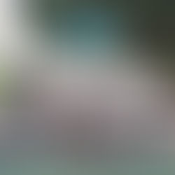 Bam realiza el voluntariado: ahorrando cumplo mis sueños