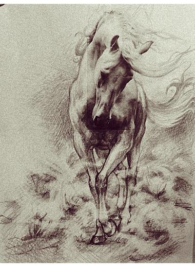Cavallo piro sequenze.gif