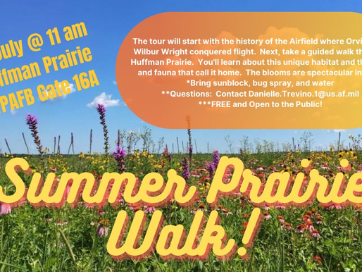 Summer Prairie Walk