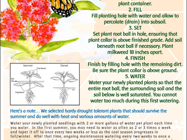 Growing Your Garden - From the Monarch Fellowship