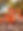 20221123_103025.jpg