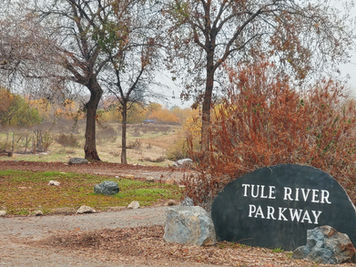 Garden Days at TRPA in December 2023