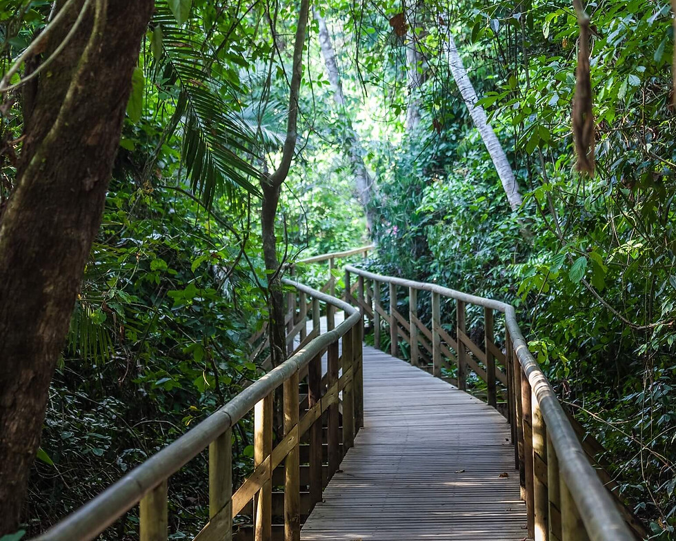 Manuel Antonio National Park Costa Rica.jpg