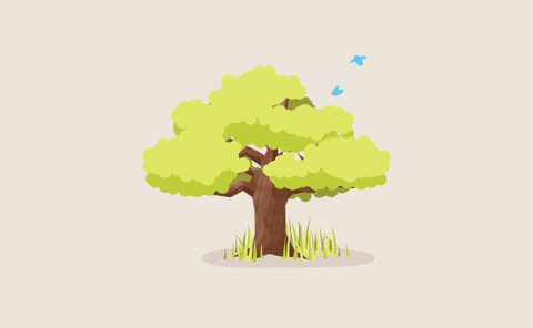 seasons.gif