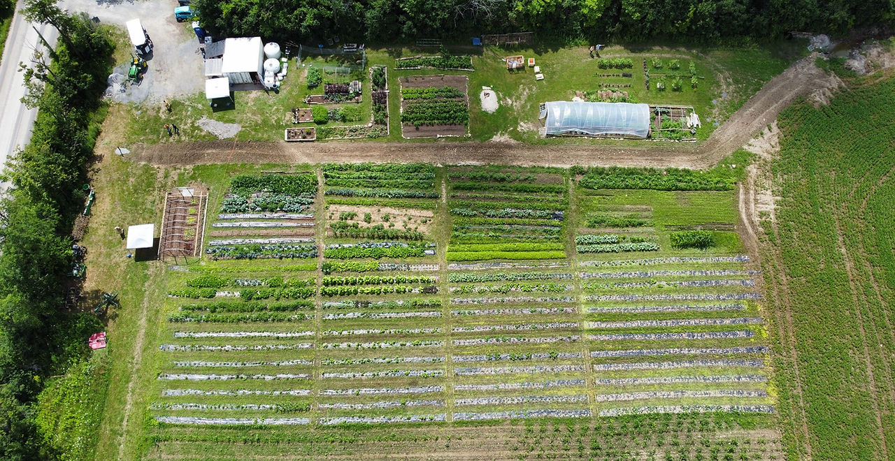 dji_fly_20240718_120252_56_1721318933509_photo_optimized.jpeg