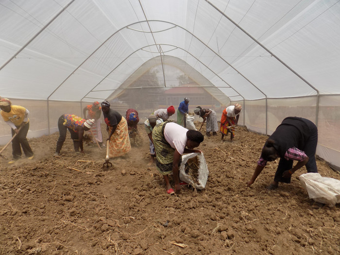 A success story: The Naro Moru Women’s Group in Kenya