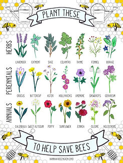 Plants that bees like.
